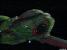 Klingon Bird of Prey (29.84K)