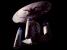 USS Enterprise NCC-1701-D from 'All Good Things' (19.31K)