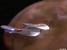 USS Enterprise NCC-1701-D star drive section in orbit (23.9K)